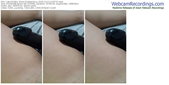 cam4-gataonlyxx-10-12-2025-14-07-31
