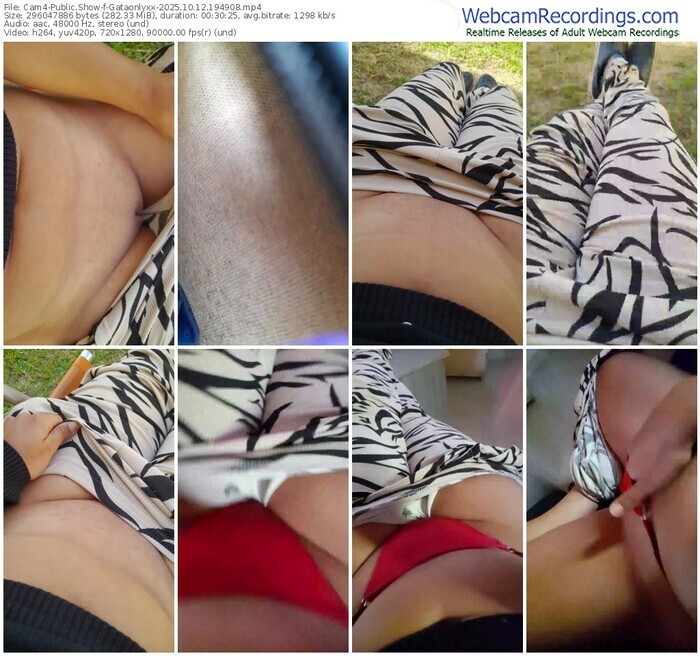 cam4-gataonlyxx-10-12-2025-19-49-08