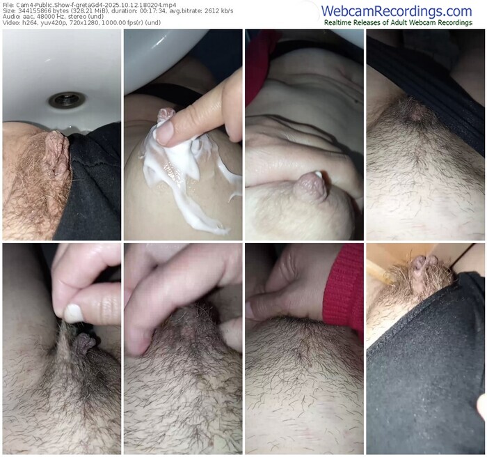 cam4-gretagd4-10-12-2025-18-02-04