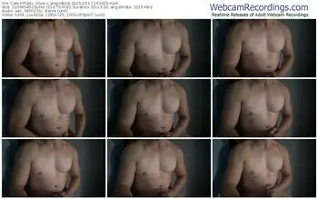 cam4-angridbird-10-13-2025-16-34-29