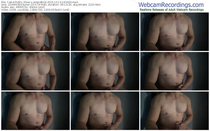 cam4-angridbird-10-13-2025-16-34-29