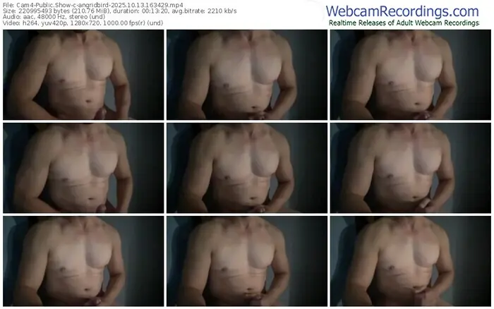 cam4-angridbird-10-13-2025-16-34-29