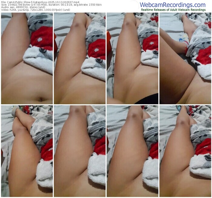 cam4-gataonlyxx-10-13-2025-00-29-37