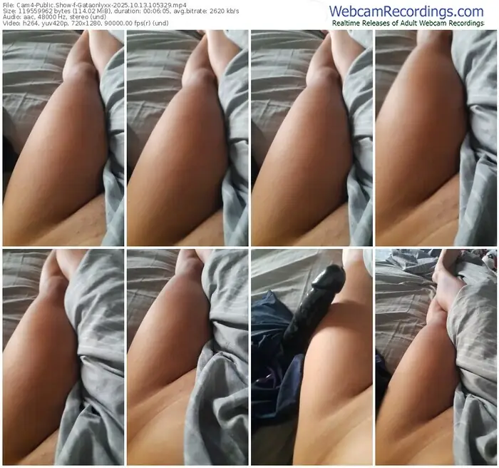 cam4-gataonlyxx-10-13-2025-10-53-29