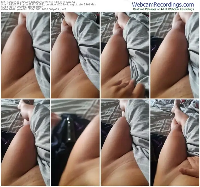 cam4-gataonlyxx-10-13-2025-11-01-24