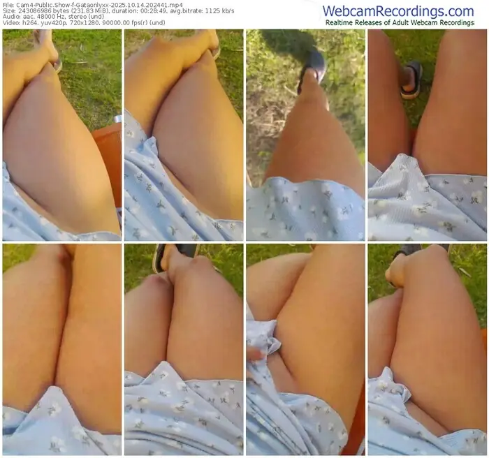 cam4-gataonlyxx-10-14-2025-20-24-41