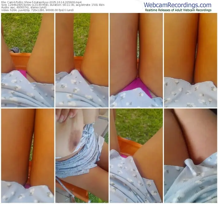 cam4-gataonlyxx-10-14-2025-20-59-06