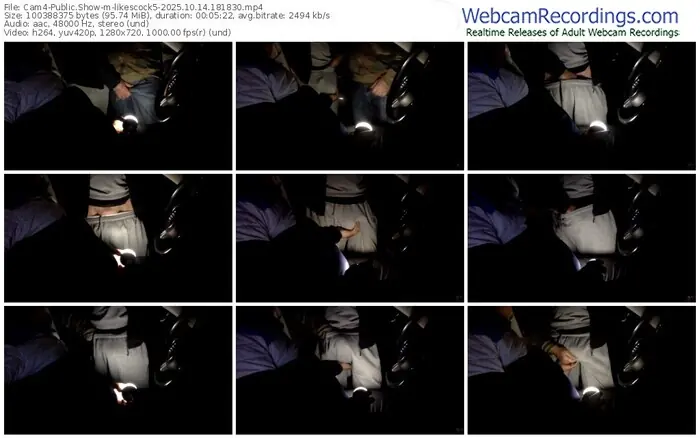 cam4-likescock5-10-14-2025-18-18-30