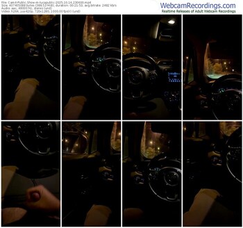 cam4-lucapublic-10-14-2025-23-06-00