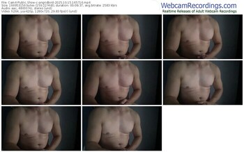 cam4-angridbird-10-15-2025-16-57-16