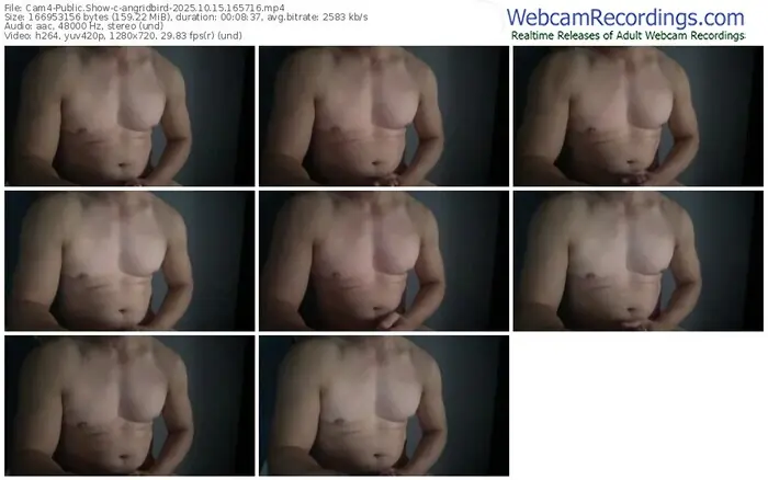 cam4-angridbird-10-15-2025-16-57-16