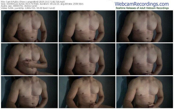 cam4-angridbird-10-17-2025-18-17-26