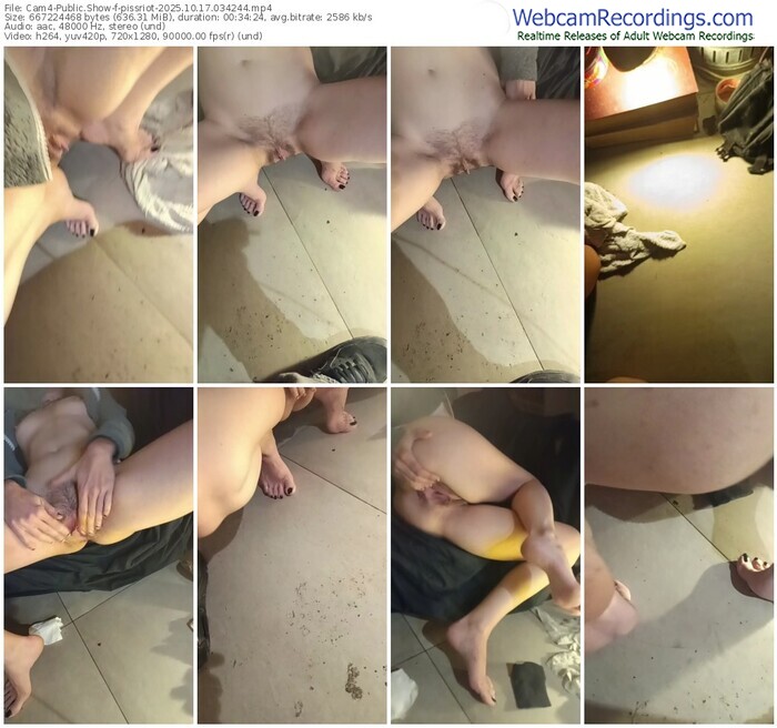 cam4-pissriot-10-17-2025-03-42-44
