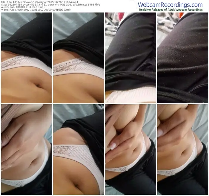 cam4-gataonlyxx-10-20-2025-12-18-24