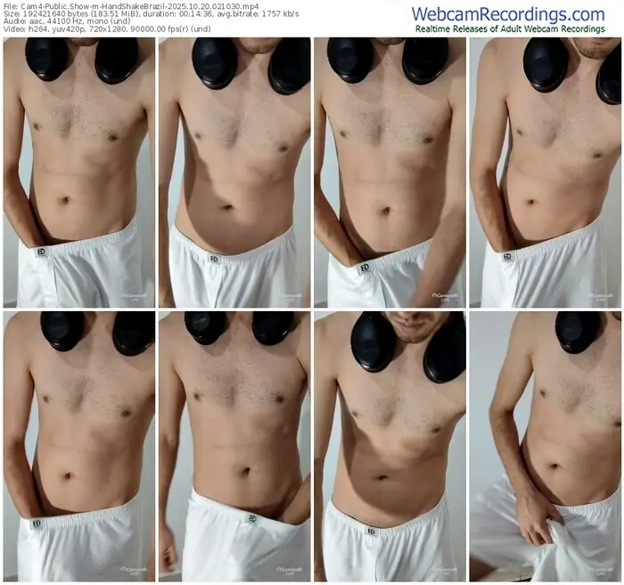 cam4-handshakebrazil-10-20-2025-02-10-30