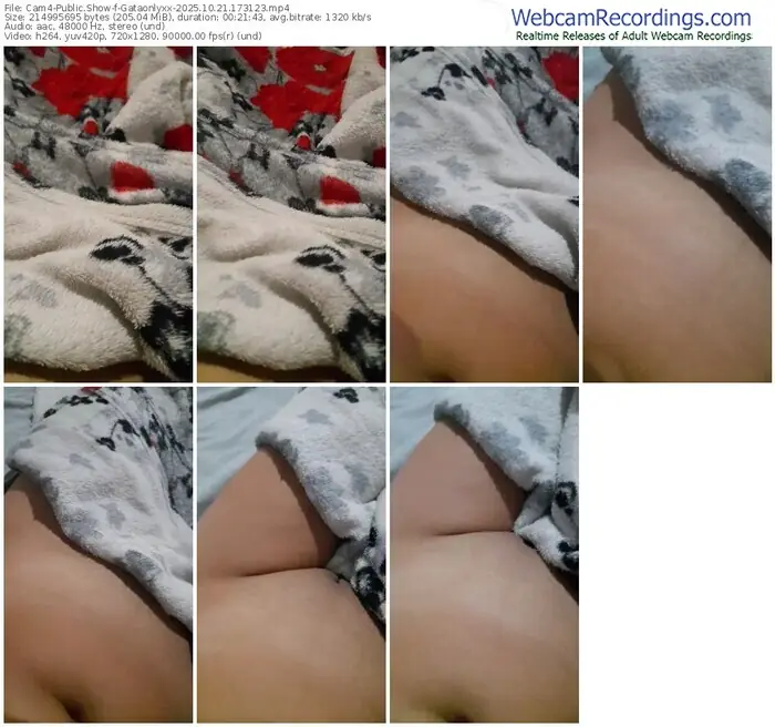 cam4-gataonlyxx-10-21-2025-17-31-23