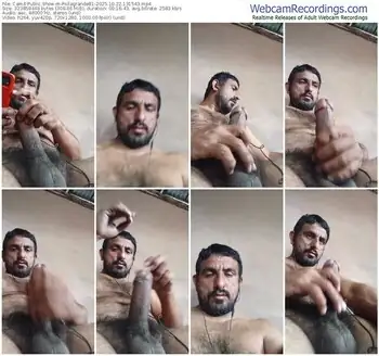 cam4-pollagrande81-10-22-2025-13-15-43