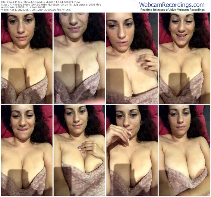 cam4-brunedusud-10-24-2025-06-07-21