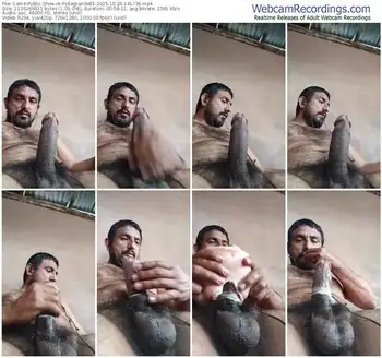 cam4-pollagrande81-10-24-2025-14-17-36