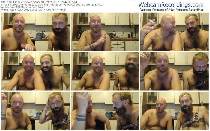 cam4-sensee85-10-25-2025-22-44-06