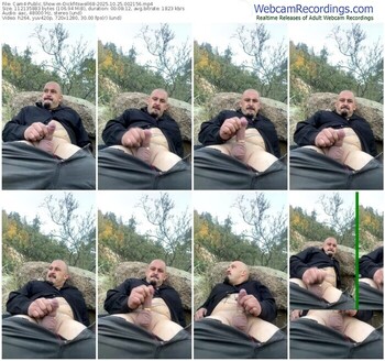 cam4-dickfitswell68-10-25-2025-00-21-56