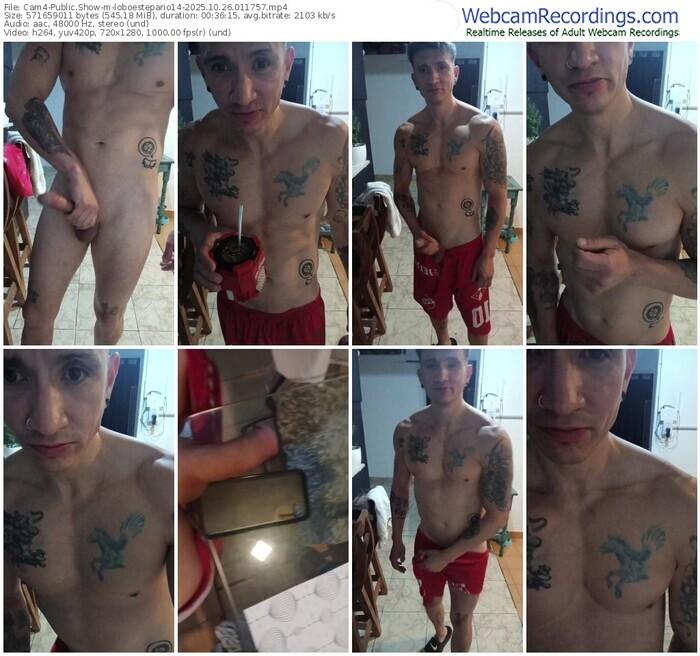 cam4-loboestepario14-10-26-2025-01-17-57