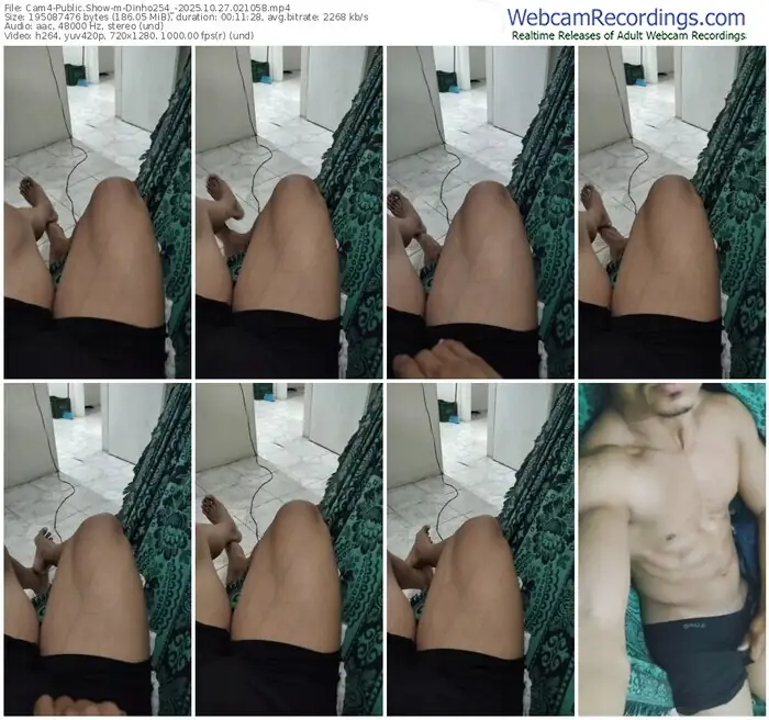 cam4-dinho254_-10-27-2025-02-10-58