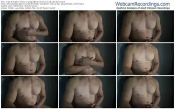 cam4-angridbird-10-28-2025-16-15-03