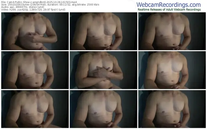 cam4-angridbird-10-28-2025-16-15-03