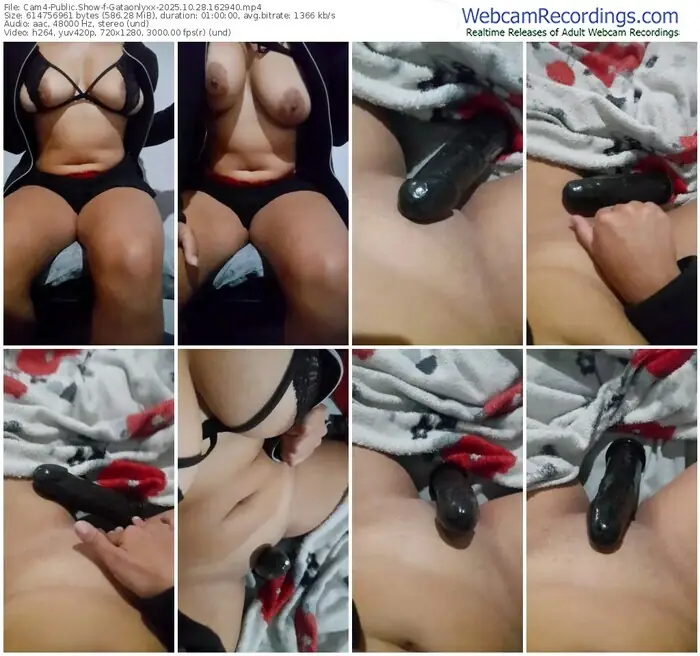 cam4-gataonlyxx-10-28-2025-16-29-40