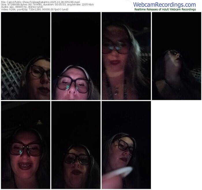 cam4-valeaghatarms-10-28-2025-03-52-49