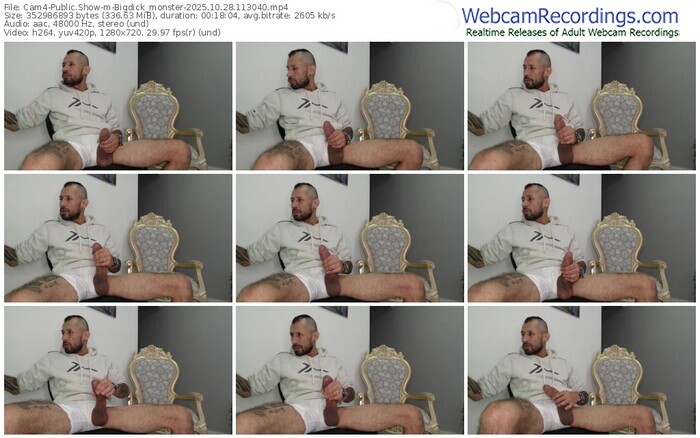cam4-bigdick_monster-10-28-2025-11-30-40
