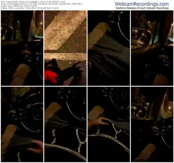 cam4-lucapublic-10-28-2025-00-05-11