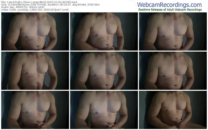 cam4-angridbird-10-29-2025-18-19-45