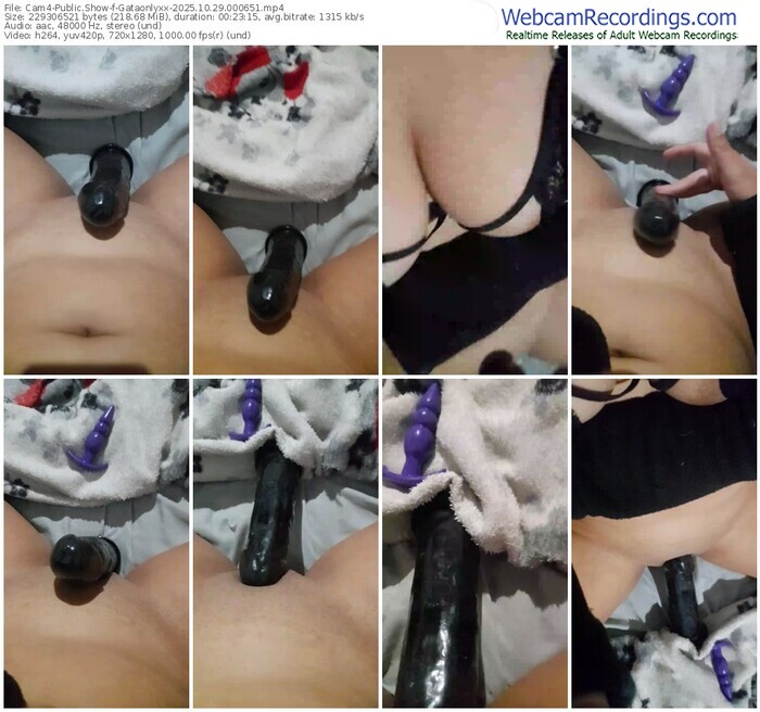 cam4-gataonlyxx-10-29-2025-00-06-51