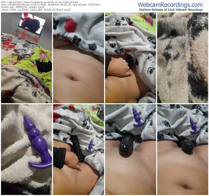 cam4-gataonlyxx-10-29-2025-10-52-14