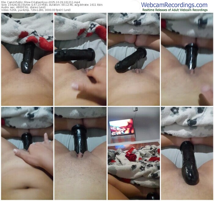 cam4-gataonlyxx-10-29-2025-16-12-11