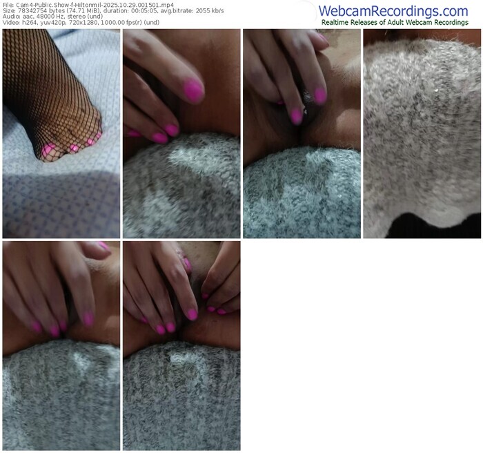 cam4-hiltonmil-10-29-2025-00-15-01