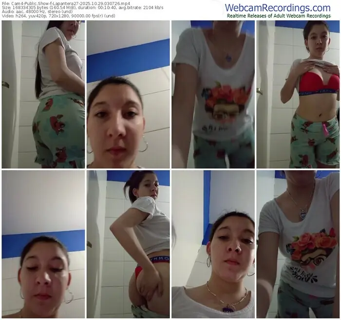 cam4-lapantera27-10-29-2025-03-07-26