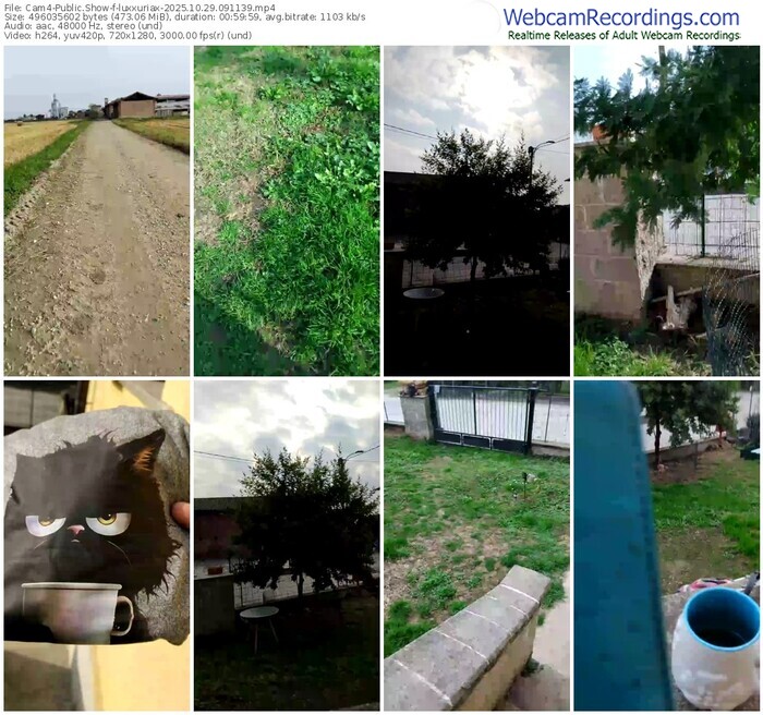 cam4-luxxuriax-10-29-2025-09-11-39