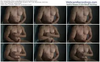 cam4-angridbird-10-30-2025-18-27-12