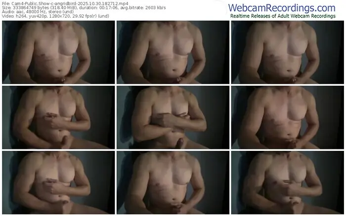 cam4-angridbird-10-30-2025-18-27-12