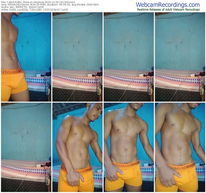 cam4-leosilvaj-10-30-2025-16-12-06