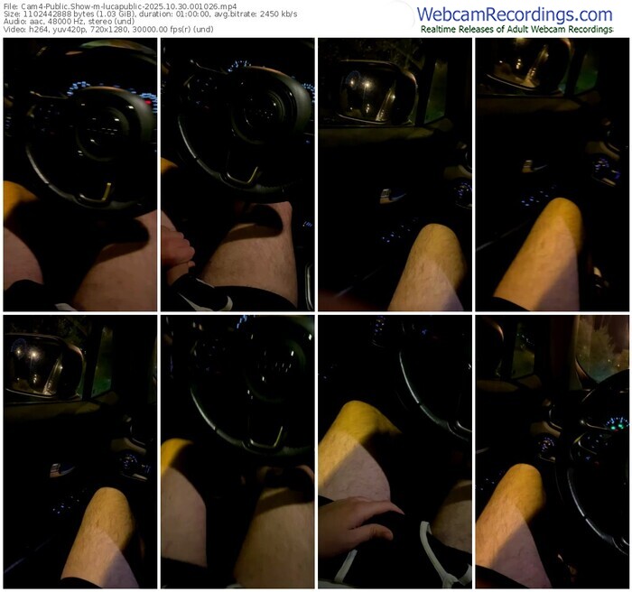 cam4-lucapublic-10-30-2025-00-10-26