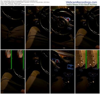 cam4-lucapublic-10-31-2025-23-23-45