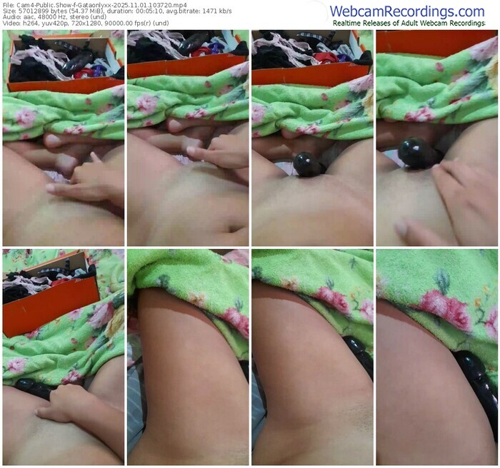 cam4-gataonlyxx-11-01-2025-10-37-20