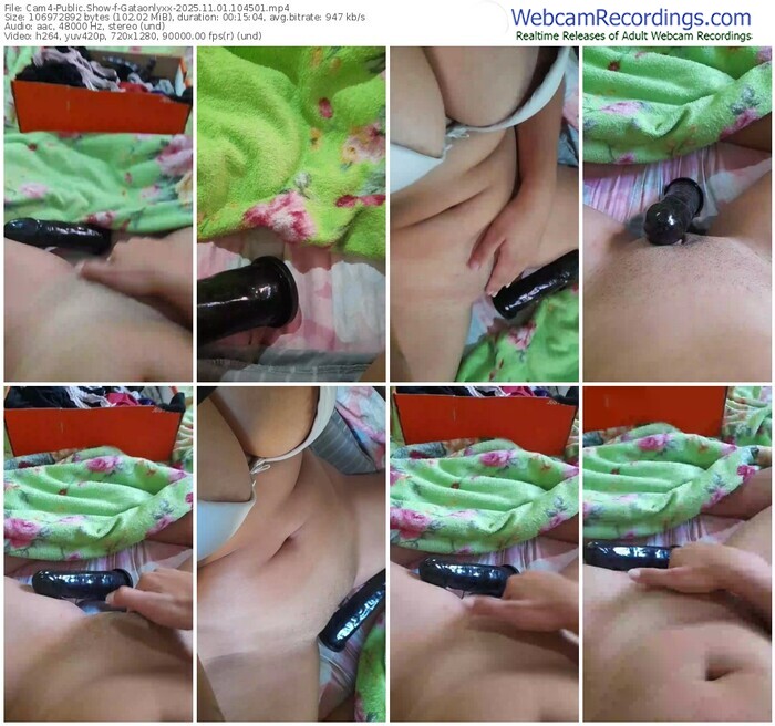 cam4-gataonlyxx-11-01-2025-10-45-01