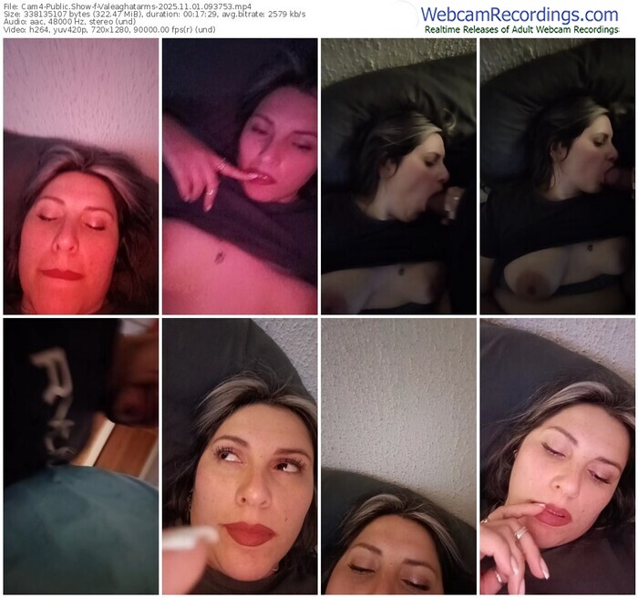 cam4-valeaghatarms-11-01-2025-09-37-53