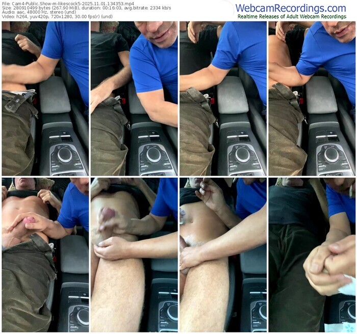 cam4-likescock5-11-01-2025-13-43-53