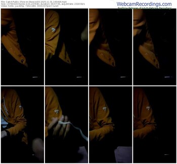 cam4-likescock5-11-01-2025-16-54-04